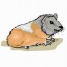 20021208223323_guineapig2.jpg